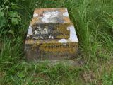 image number DSC_2949
